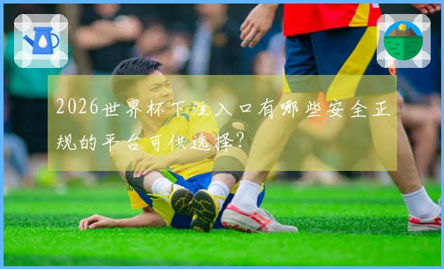 2026世界杯下注入口有哪些安全正规的平台可供选择？